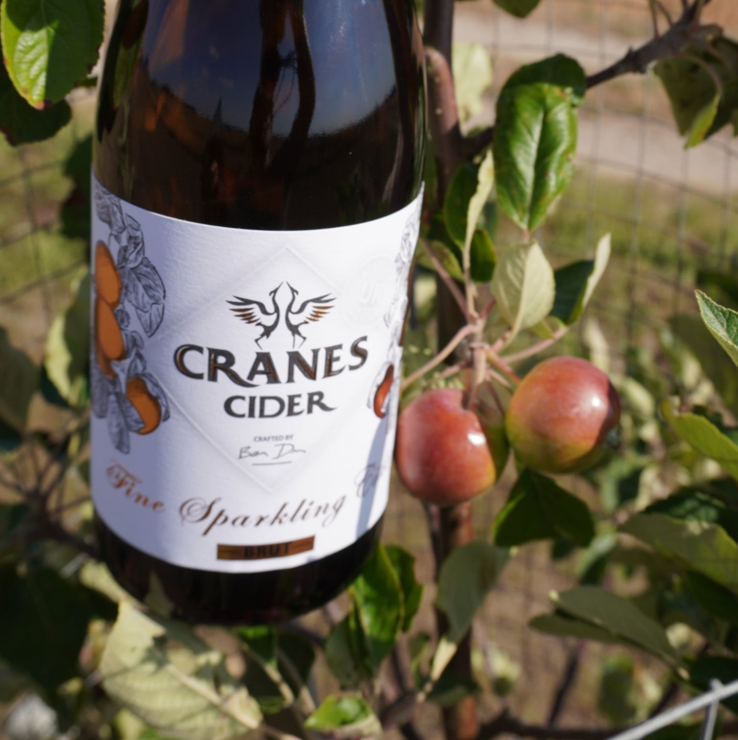 Cranes Fine Sparkling Cider (75cl)