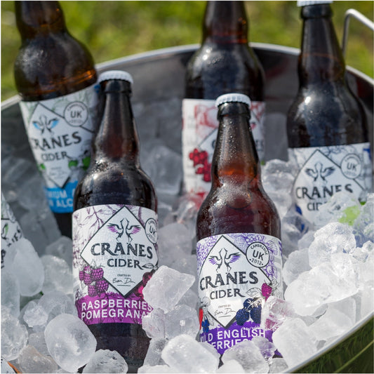 ULTIMATE CIDER BUNDLE 12x500ml