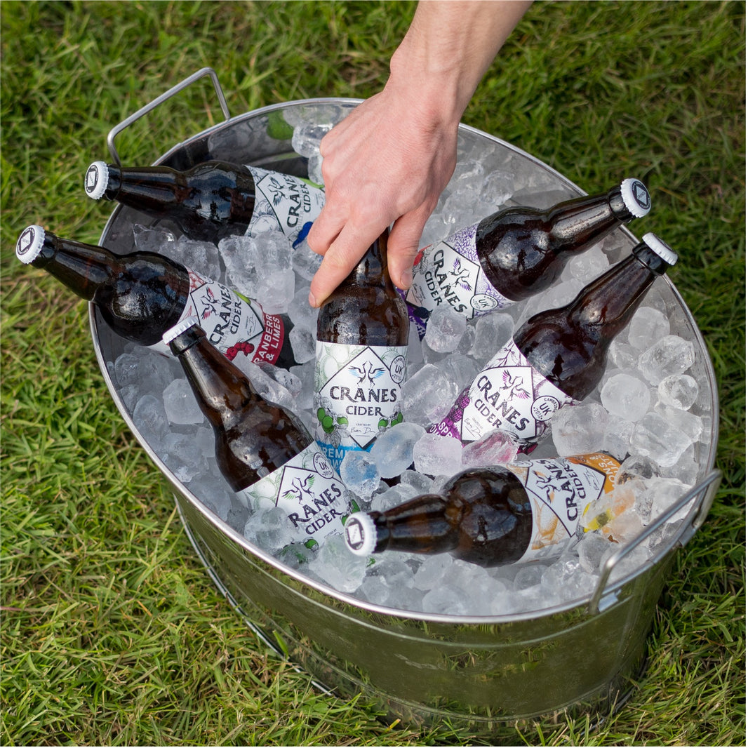 10 Best Cranes Cider Gift Set - June 2023